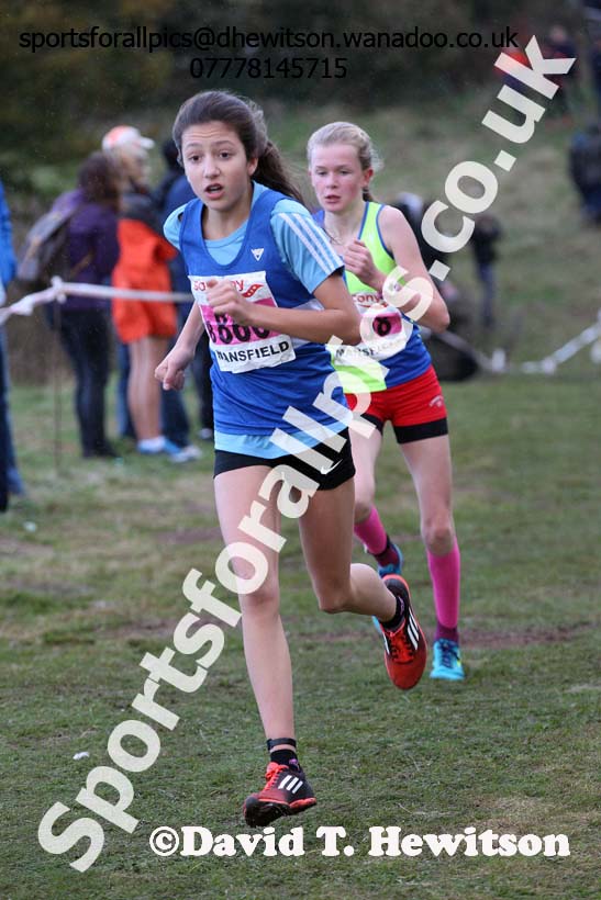 Girls under-15s, 2016 National Cross Country Relays, Berry Hill Park, Mansfield. Photo: David T. Hewitson/Sports for All Pics